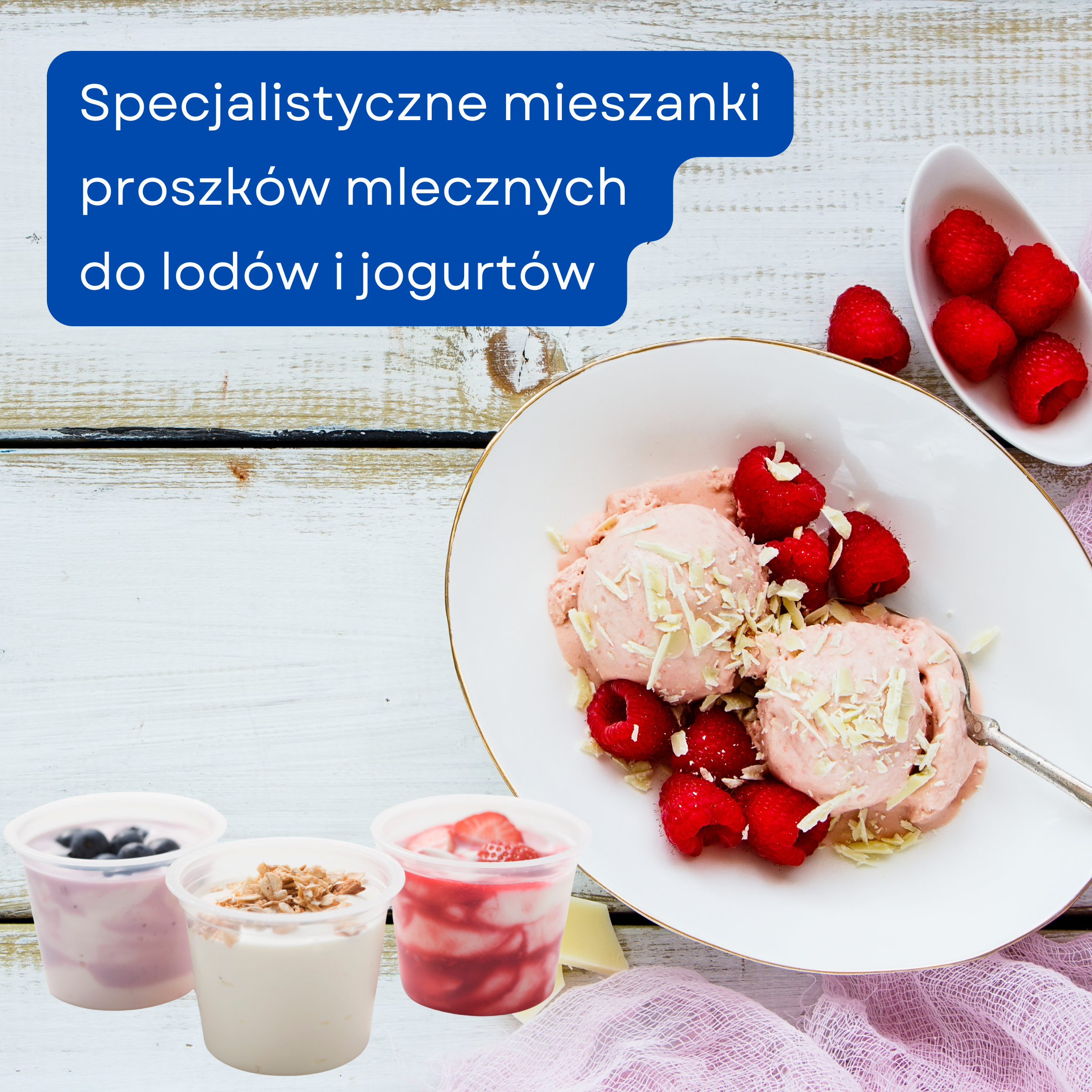 Mieszanki do lodów i jogurtów (1)